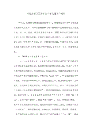 村党支部2022上半党建工作总结.docx