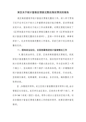 某区关于统计督查反馈意见整改落实情况的报告.docx