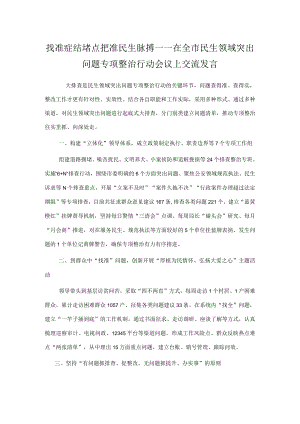 找准症结堵点 把准民生脉搏——在全市民生领域突出问题专项整治行动会议上交流发言.docx