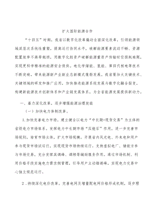 扩大国际能源合作.docx