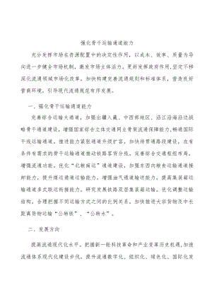 强化骨干运输通道能力.docx