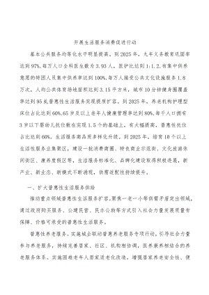 开展生活服务消费促进行动.docx