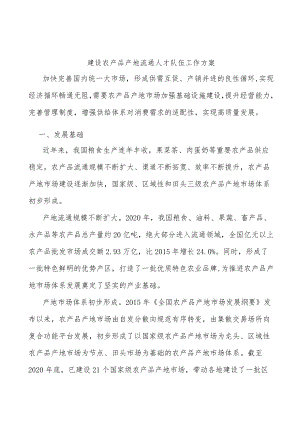 建设农产品产地流通人才队伍工作方案.docx