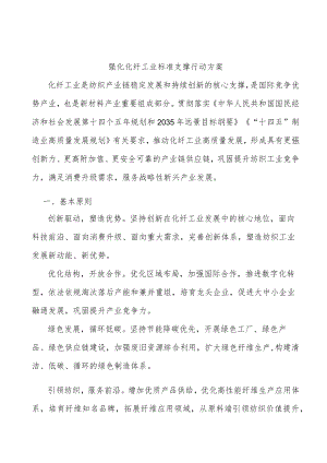 强化化纤工业标准支撑行动方案.docx