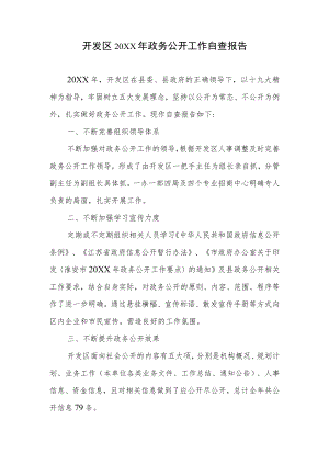 开发区政务公开工作自查报告.docx