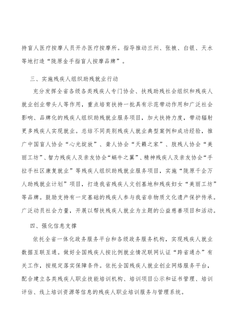 强化残疾人就业信息支撑实施方案.docx_第2页
