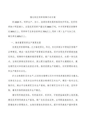 强化牧区饲草保障行动方案.docx