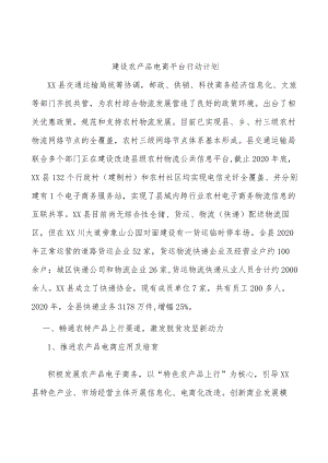建设农产品电商平台行动计划.docx