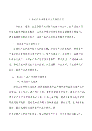 引导农产品市场生产方式转型升级.docx
