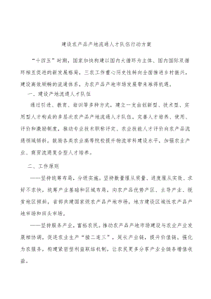建设农产品产地流通人才队伍行动方案.docx