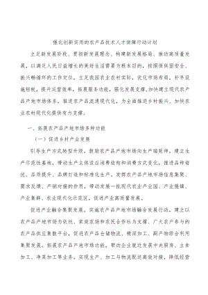 强化创新实用的农产品技术人才保障行动计划.docx