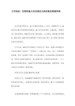 工作综述：区狠抓重大项目建设为高质量发展蓄势赋能.docx
