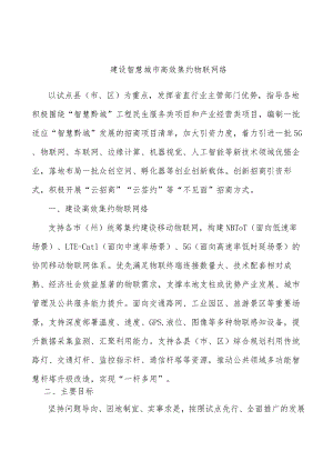 建设智慧城市高效集约物联网络.docx
