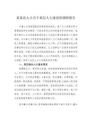 某某县人大关于基层人大建设的调研报告.docx