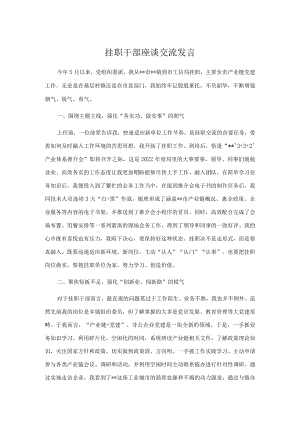 挂职干部座谈交流发言.docx
