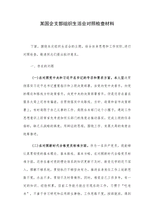 某国企支部组织生活会对照检查材料.docx
