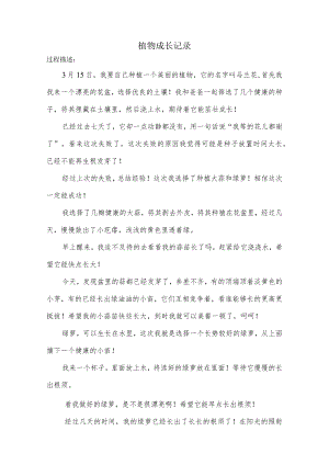 春天植物记录单(1).docx