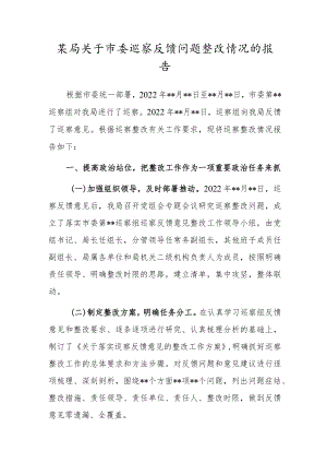 某局关于市委巡察反馈问题整改情况的报告.docx
