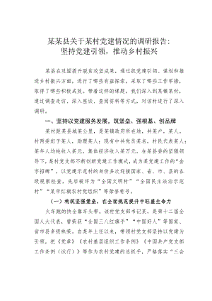 某某县关于某村党建情况的调研报告：坚持党建引领推动乡村振兴.docx