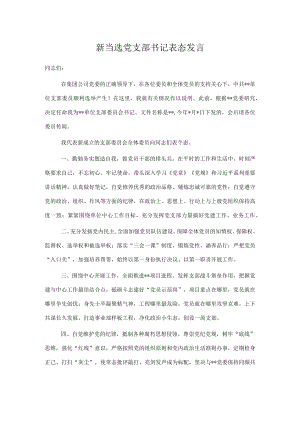 新当选党支部书记表态发言.docx