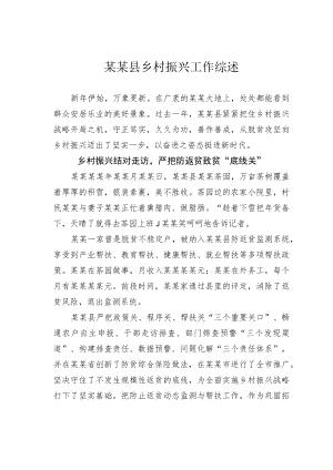 某某县乡村振兴工作综述.docx