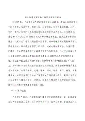 推进智慧民生服务建设幸福和谐城市.docx
