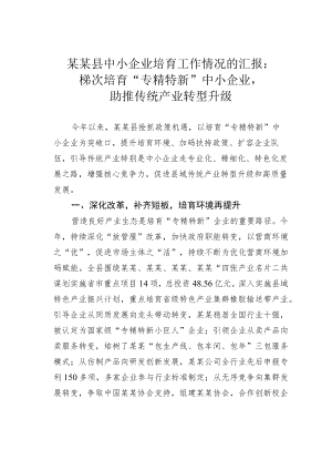 某某县中小企业培育工作情况的汇报：梯次培育“专精特新”中小企业助推传统产业转型升级.docx