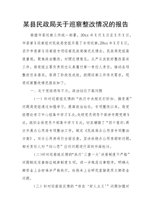 某县民政局关于巡察整改情况的报告.docx