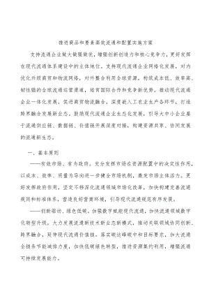推进商品和要素高效流通和配置实施方案.docx