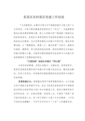 某某区农村基层党建工作综述.docx