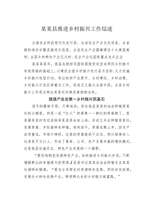 某某县推进乡村振兴工作综述.docx
