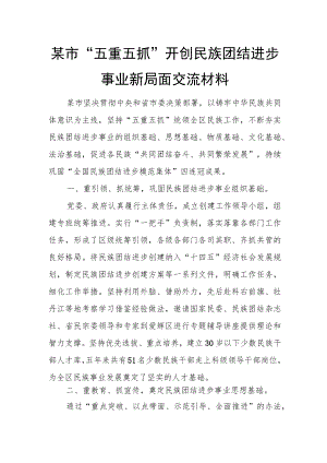 某市“五重五抓”开创民族团结进步事业新局面交流材料.docx