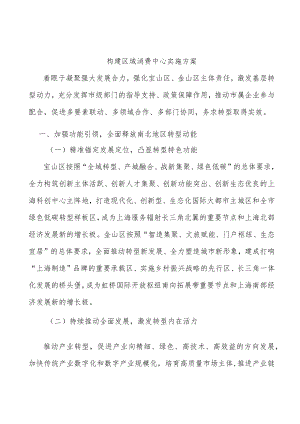 构建区域消费中心实施方案.docx
