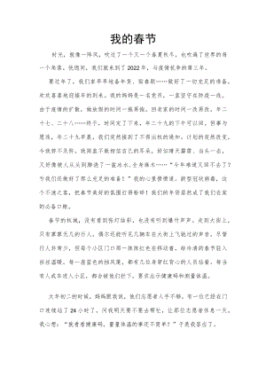 我的春节征文.docx