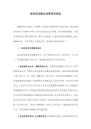 某局巡视整改进展情况报告.docx
