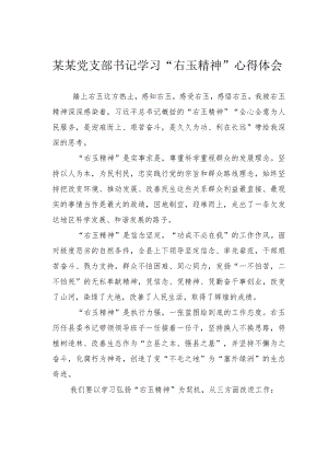 某某党支部书记学习“右玉精神”心得体会.docx