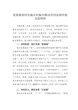 某某镇某村实施乡村振兴推动共同富裕经验交流材料.docx