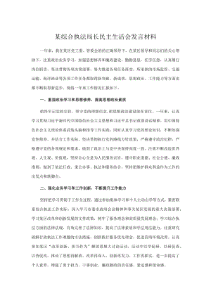 某综合执法局长民主生活会发言材料.docx
