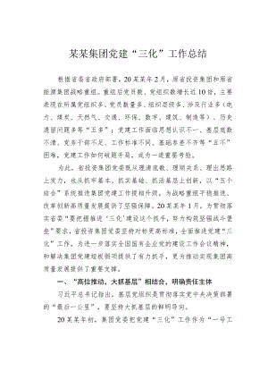 某某集团党建“三化”工作总结.docx