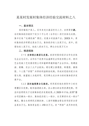 某某村发展村集体经济经验交流材料之八.docx