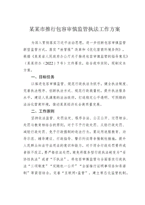 某某市推行包容审慎监管执法工作方案.docx