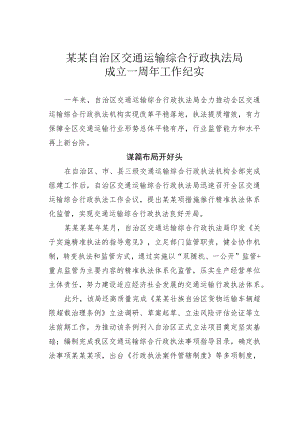 某某自治区交通运输综合行政执法局成立一周年工作纪实.docx