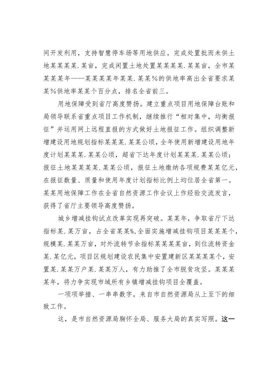 某某市自然资源局成立一周年工作纪实.docx_第3页