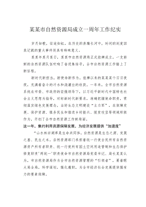 某某市自然资源局成立一周年工作纪实.docx