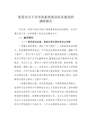 某某市关于全市高素质政法队伍建设的调研报告.docx