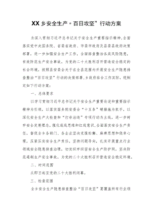 XX乡安全生产“百日攻坚”行动方案.docx