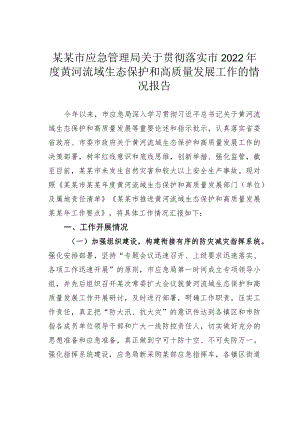 某某市应急管理局关于贯彻落实市2022年度黄河流域生态保护和高质量发展工作的情况报告.docx