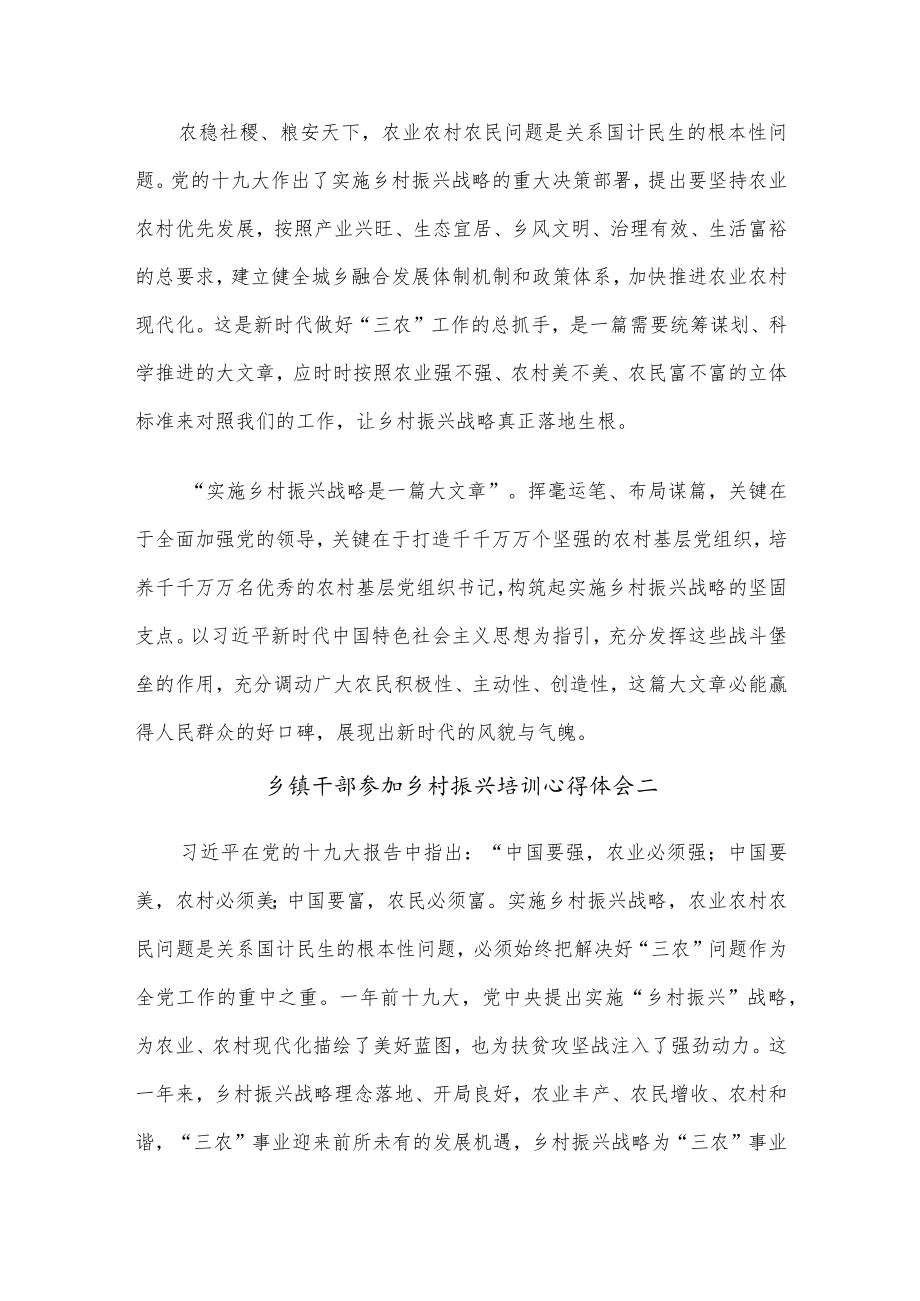 (5篇)乡镇干部参加乡村振兴培训心得体会范文.docx_第2页