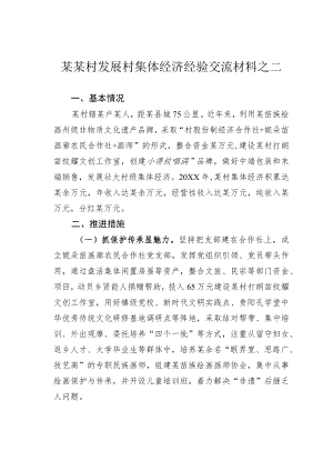 某某村发展村集体经济经验交流材料之二.docx