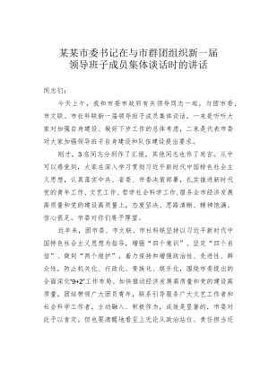 某某市委书记在与市群团组织新一届领导班子成员集体谈话时的讲话.docx